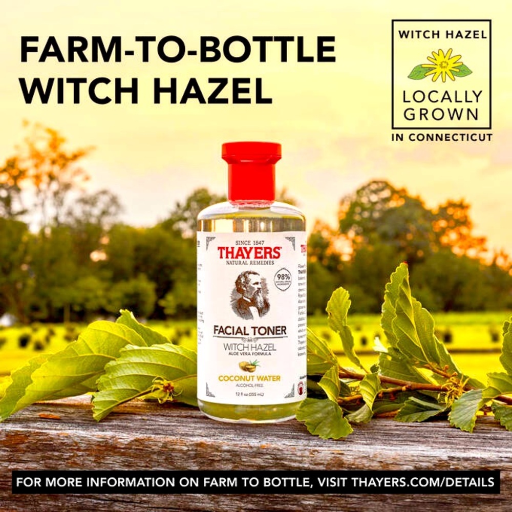 Thayers, Witch Hazel Facial Toner, Coconut Water, 12 Oz.